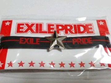EXILE PRIDE 2013 SuX ubN