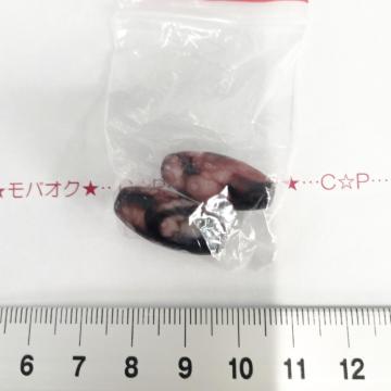 10*��׽�ް�ށ@25