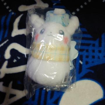 �ʂ������ �s�J�`���E�䂫�����