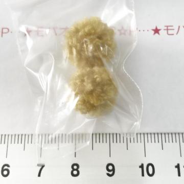 4*�t�����R�����������́@4