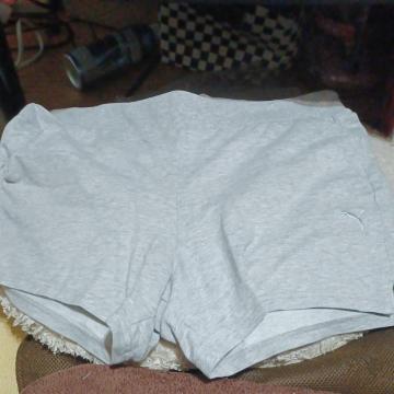 ���Ã��f�B�[�XPUMA�Z�p��2l