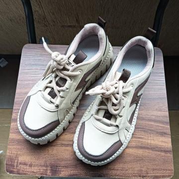 Vi 25cm Xj[J[ uE V[Y C JWA fB[X 