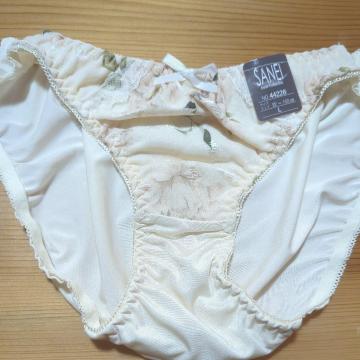 �V�i�ߗ� �N���[���F�ԕ��@L