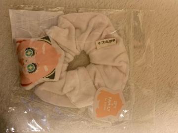 �V���V���@SPY�~FAMILY�V�i���g�p