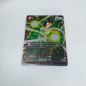 hS{[X[p[t[W[hFB02-015SRll17