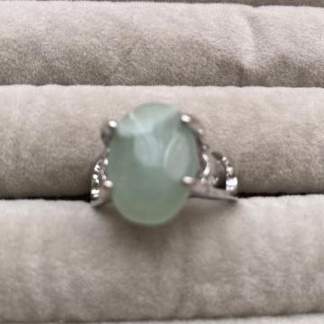 �V�R�Ύw�ց@�����O�@14��