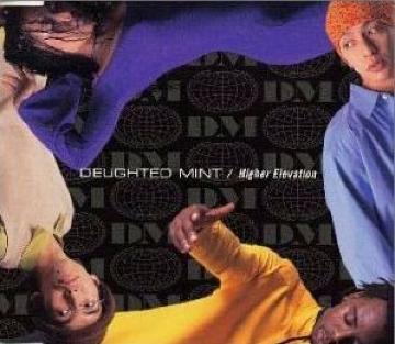 Vi Delighted Mint - Higher Elevation VO CD J