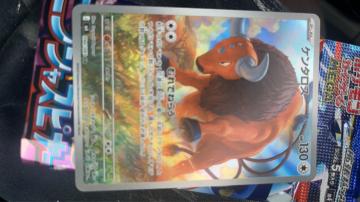 �|�P�����J�[�h�Q�[�� �P���^���X(�p���f�A�̂�����) HP130 �V���O���J�[�h