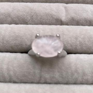 �V�R�Ύw�ց@�����O�@16��