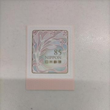 �V�[���؎� 85�~�@1���@�~�j���^�[�@���D����