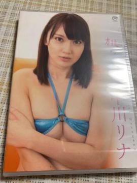 ylzZDVD 샊i / ̖ VOL.6 Vi