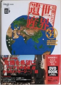 Ё{DVD/EY//oyC萔0~/䂤pPbg180`@@ɂEY@34