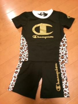 champion ZbgAbv100