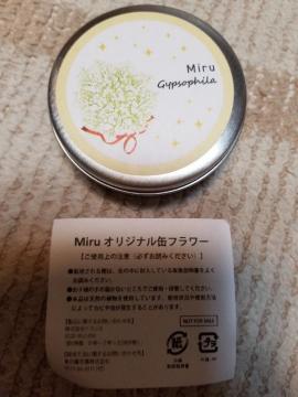 IWiʃt[