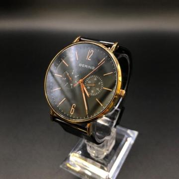  BERING rv 14240-166