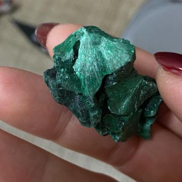 �G�C���b�g�X�g�[���@�G�C���b�g�}���J�C�g�@�A�Y���C�g�@�N���\�R�[���@�_�C�I�v�e�[�Y�@�V�R�΁@�z���W�{�@�z�� �E����