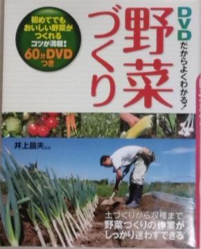 Ё{DVD/ƒ؉//oyC萔&i䂤pPbgj0~@cuc悭킩I؂Â