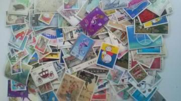 F50~؎120Vigpi  50120[6B
