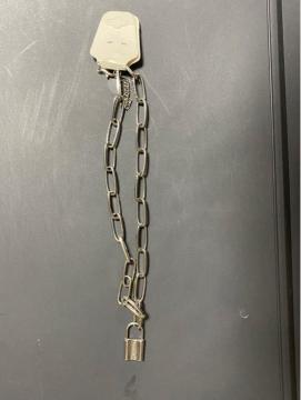 1円スタート 新品 アクセサリー ネックレスペンダント