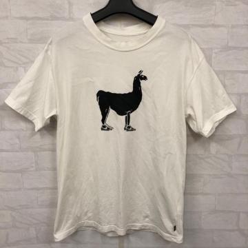 ���� NIKE SB �i�C�L ����T�V���c S