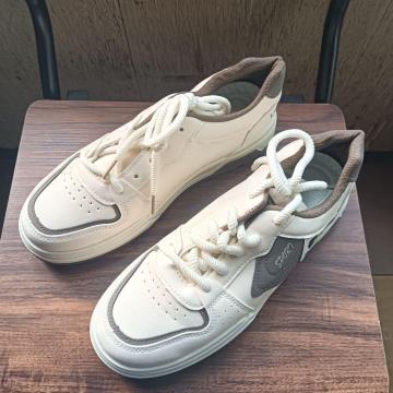 Vi 24.5cm fB[X Xj[J[ x[W V[Y C JWA