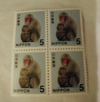 5�~�؎�@4��