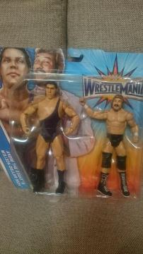 Vi V S WWE lԎR   ެ&ޯ ޱ