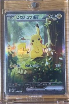 �|�P�����J�[�h �|�P�J �X�^�[�g�f�b�L100 �s�J�`���Eex sar  �ɔ��i  �s�J�`���Eex SAR  ����