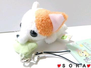 【ぱっくんCLUB にゃんこミケ 猫】可愛い♪携帯ストラップ キーホルダー
