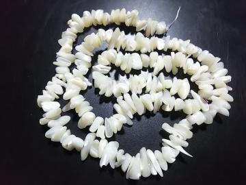 �V�R�΁��l�n�o�@������@�P�A