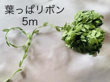 �t���σ��{�� 5m�J�b�g �O���[�����[�t