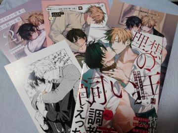 BL���X�}���s�������q�Q���E���[�t���b�g�t�y�����Ł@�E��̃C�P�����c�Ƃ͗��z�̎�����l�A�znocori