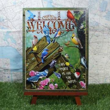 ViyuLŔzWelcome^悤@This Place Is For The Birds