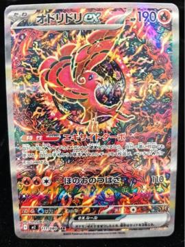 �y�ɔ��i�z�I�h���h��ex SAR 111/080 �|�P�J �|�P�����J�[�h �_�c���� M2 �����A