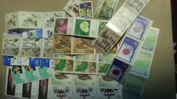 50~؎51Vigpi  5051[Y9
