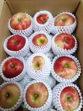 �X��� �g�� �󂠂� �_��������������悭���̂܂ܐH�ׂ�ƊÎ_���ς��ĔZ���Ȗ��킢 2.5�s��12�� �ϓ�����y6133�z