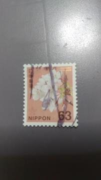 kgpςݐ؎l@63~