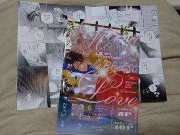 BL���A�j���C�g�����q�t�y�V���Ł@���݂͂������P���m�̗��z�씒����