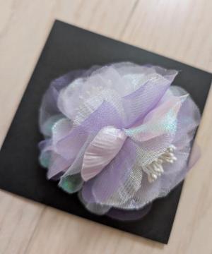 �R�T�[�W�����V�i����������