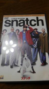 DVD Xib` fbNXRN^[YGfBV