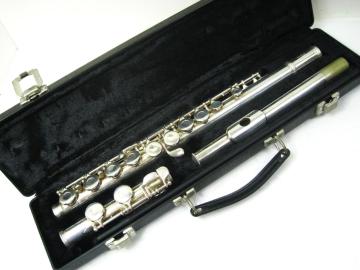 iUSAGNn[g t[g Q}Cn[g2SP SilverPlated