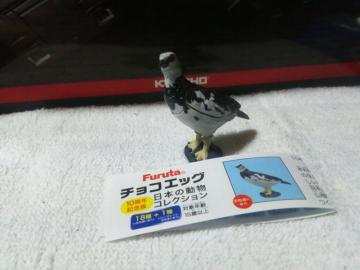 ��� ���{�̓��� 10th  ײ��� ��