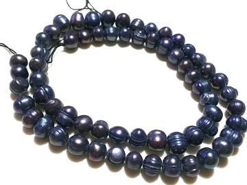 �V�R�΁��W���p�[���@�Z�~���E���h�i�s�[�R�b�N�j�@�P�A