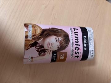 �u���[�l ���~�G�X�g �w�A�J���[ 2B �L�������u���E�� �N���[���^�C�v �����p �ԉ�