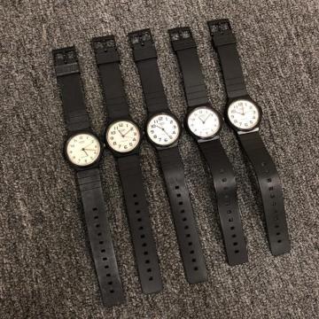  CASIO JVI rv MQ-24 5{Zbg