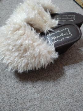 �T���_���@�����p�@����