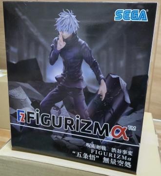 p aJ FiGURiZM ܏ ʋ