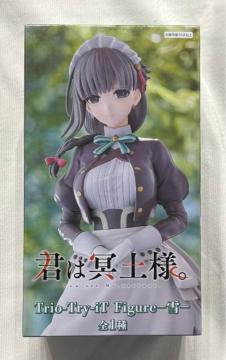 N͖ylBTrio-Try-iT Figure 