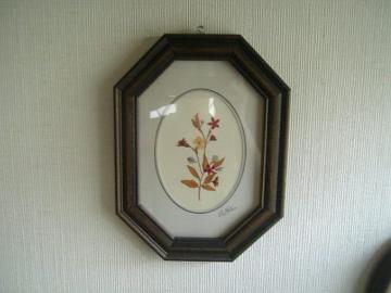 ANTIQUE��/�A���e�B�[�N���@���G��