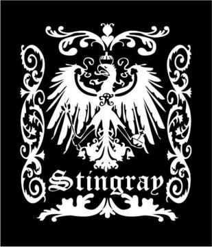 STINGRAYEXeBO[ޖ̓IWiXebJ[